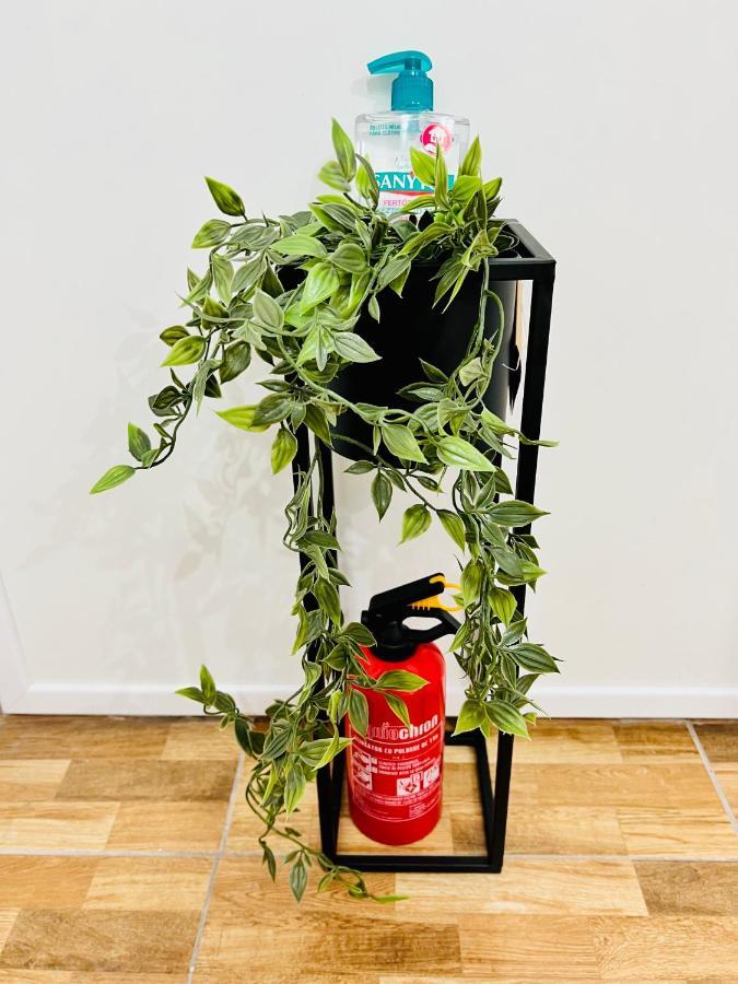 Апартаменты Altheda Living Brownie 29E-2 Сучава Экстерьер фото